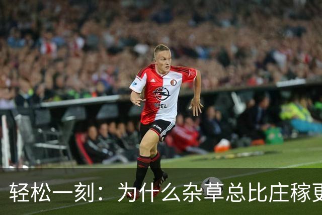 轻松一刻：为什么杂草总比庄稼更顽强？